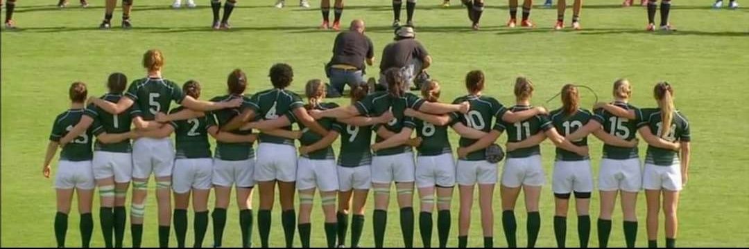 sophie spence banner