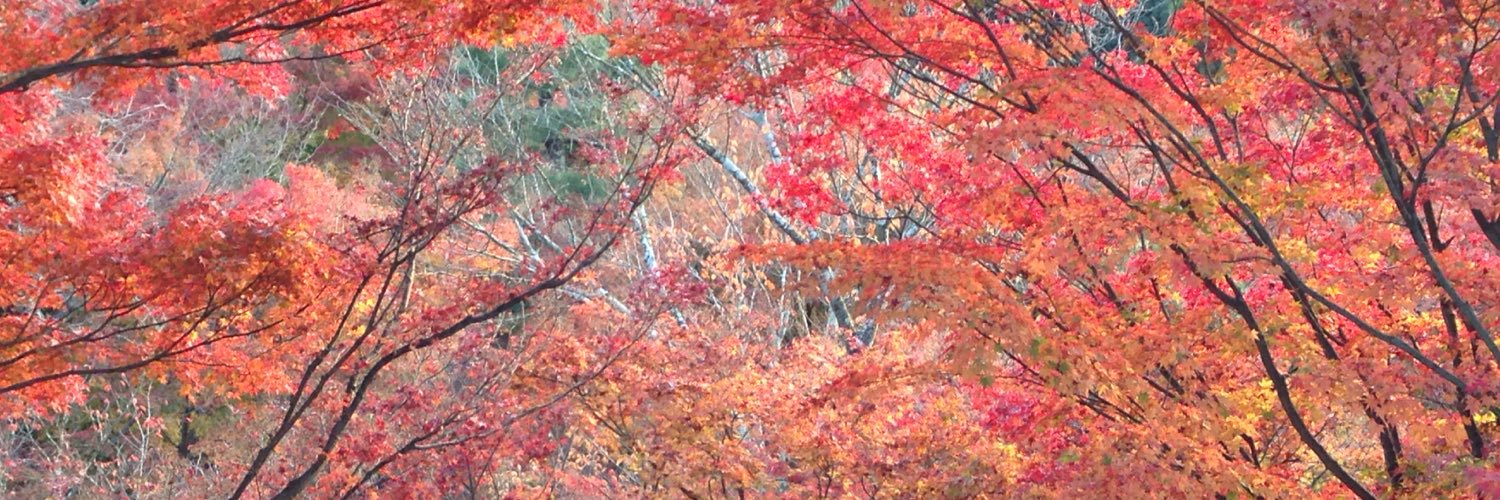TobiMallow's profile banner image