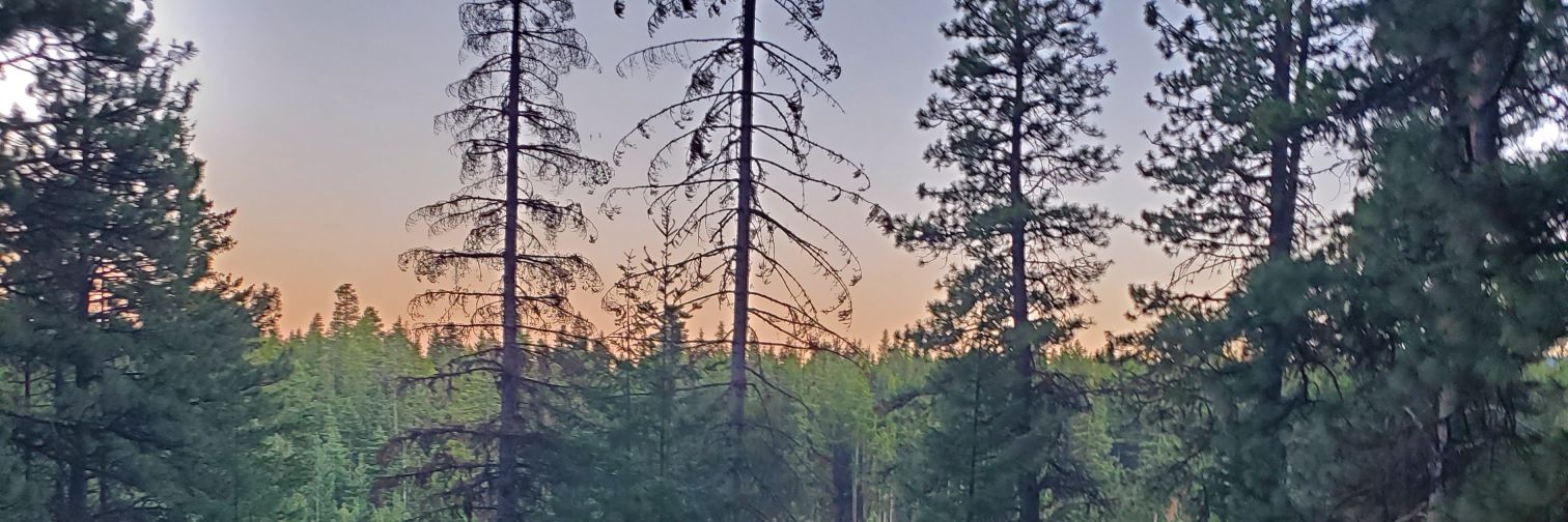 JasonRPerry509's profile banner image