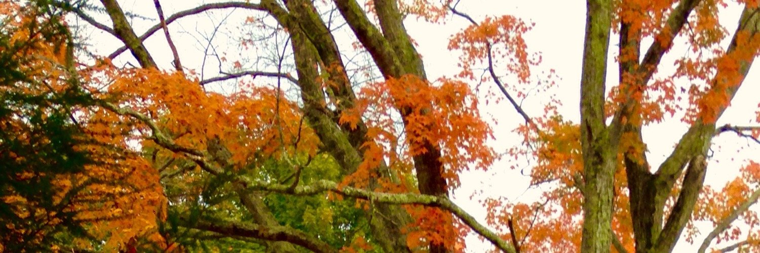 kdougherty25's profile banner image