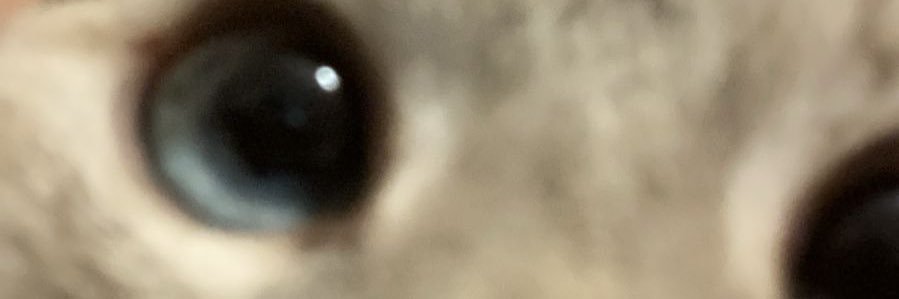 camifrechero's profile banner image