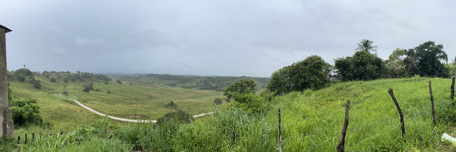 joaoalvescs's profile banner image