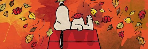Chris 🎃's banner