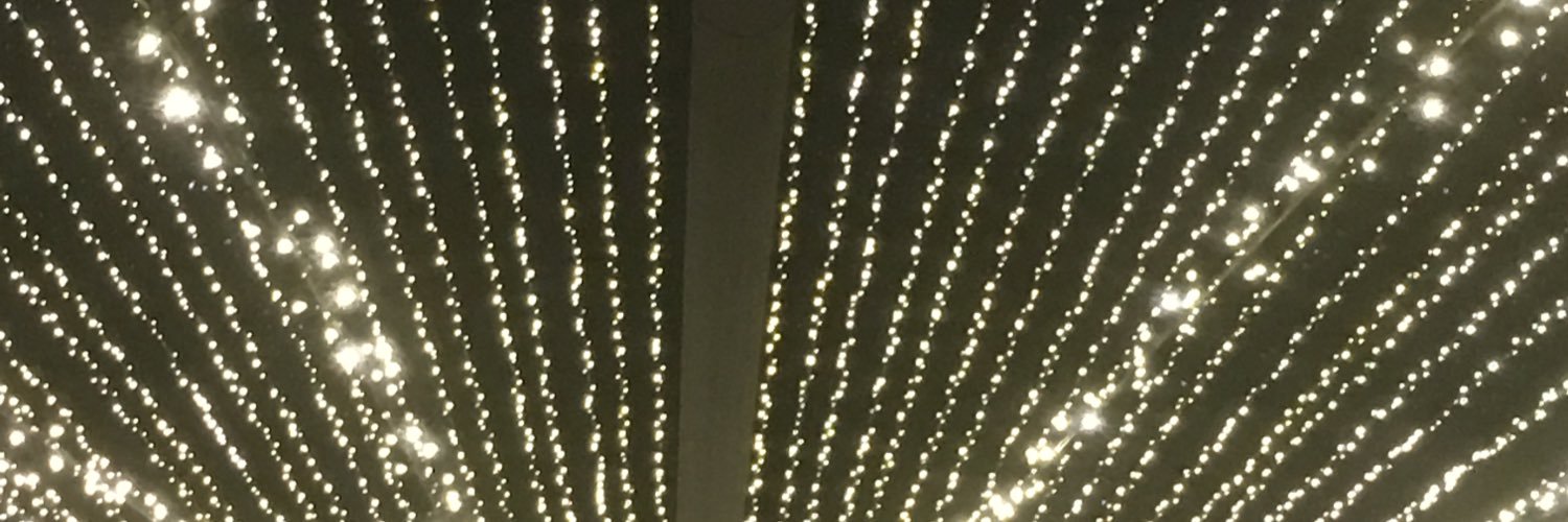 Diane Huettig banner