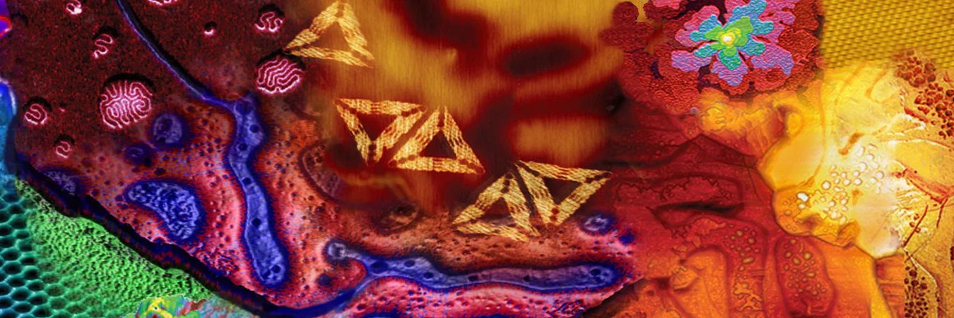 Systems For Research banner