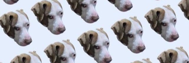 Sandra131196's profile banner image