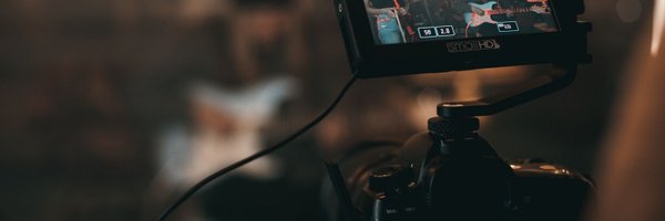 _officialcee Profile Banner