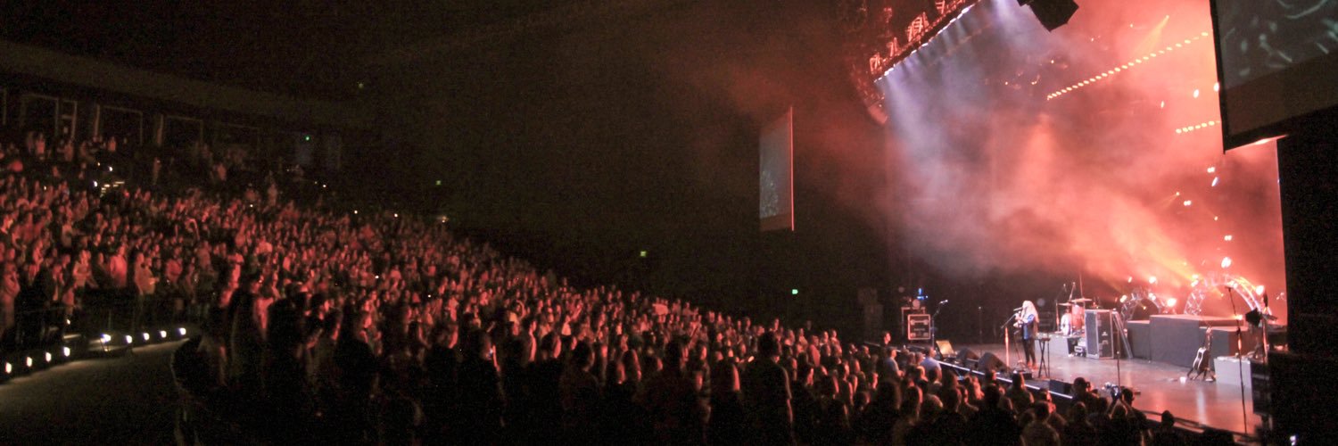 Hollyn banner