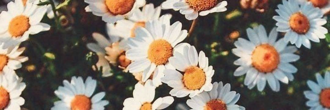 nereaariasd's profile banner image