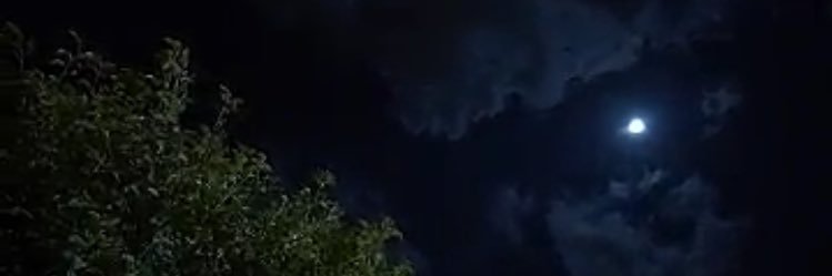 البتول بنت مسفر banner