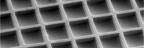 Cell Microsystems banner