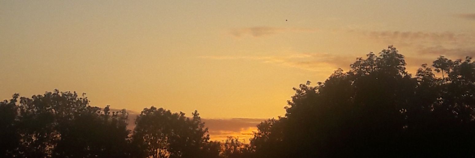 Azade Vatanzade banner