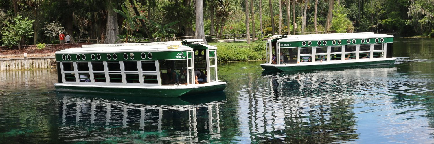 Silver Springs banner