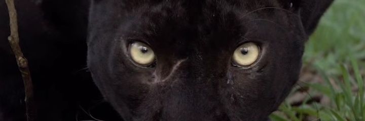 AgungTri03's profile banner image