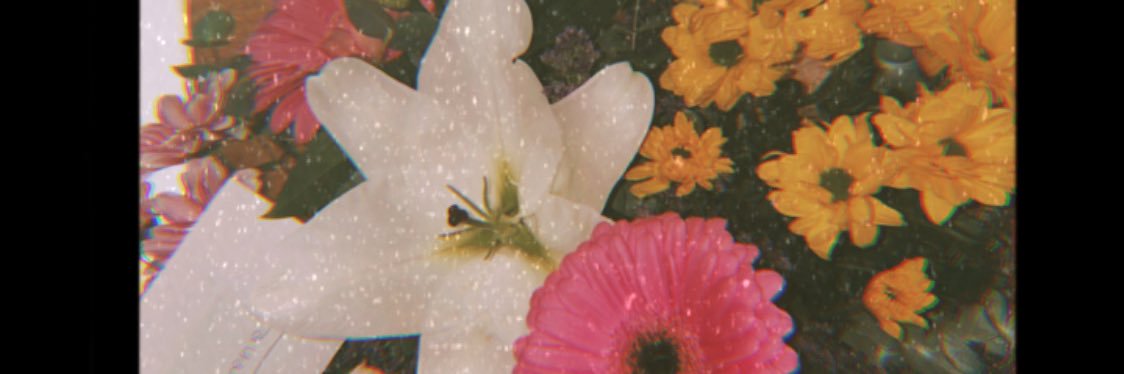 Irene_pg3's profile banner image