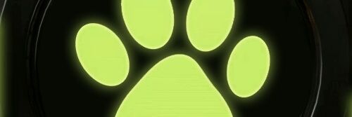 Celeste Kelly banner