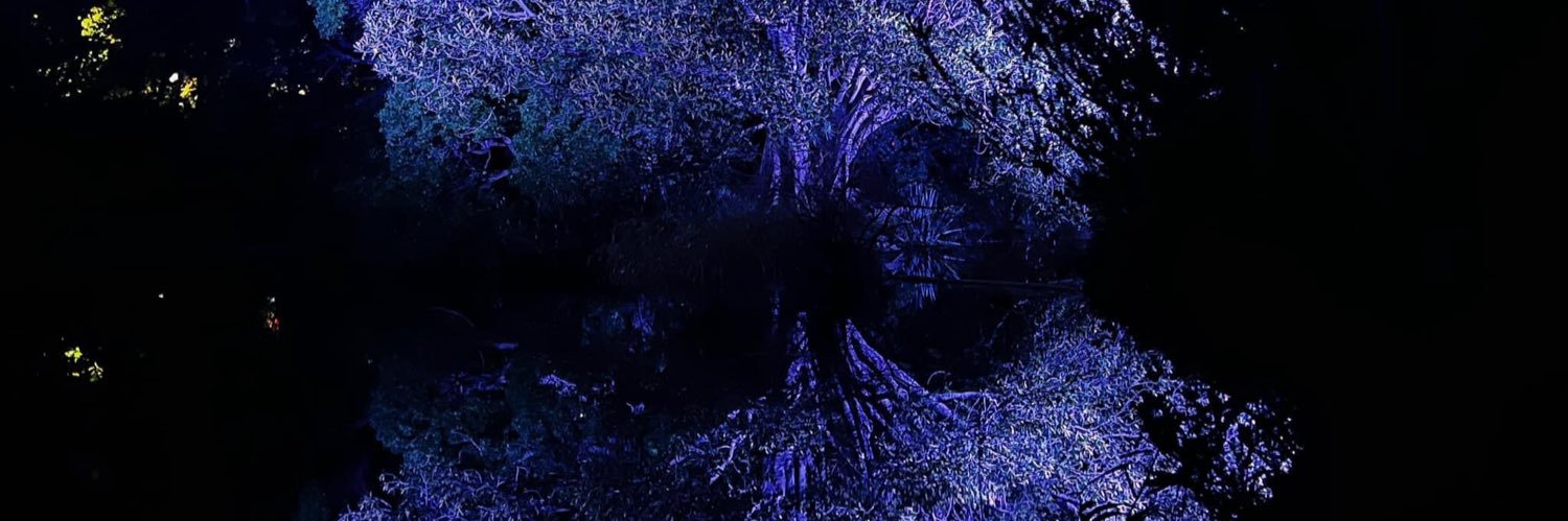 糯米奇normichi6 banner