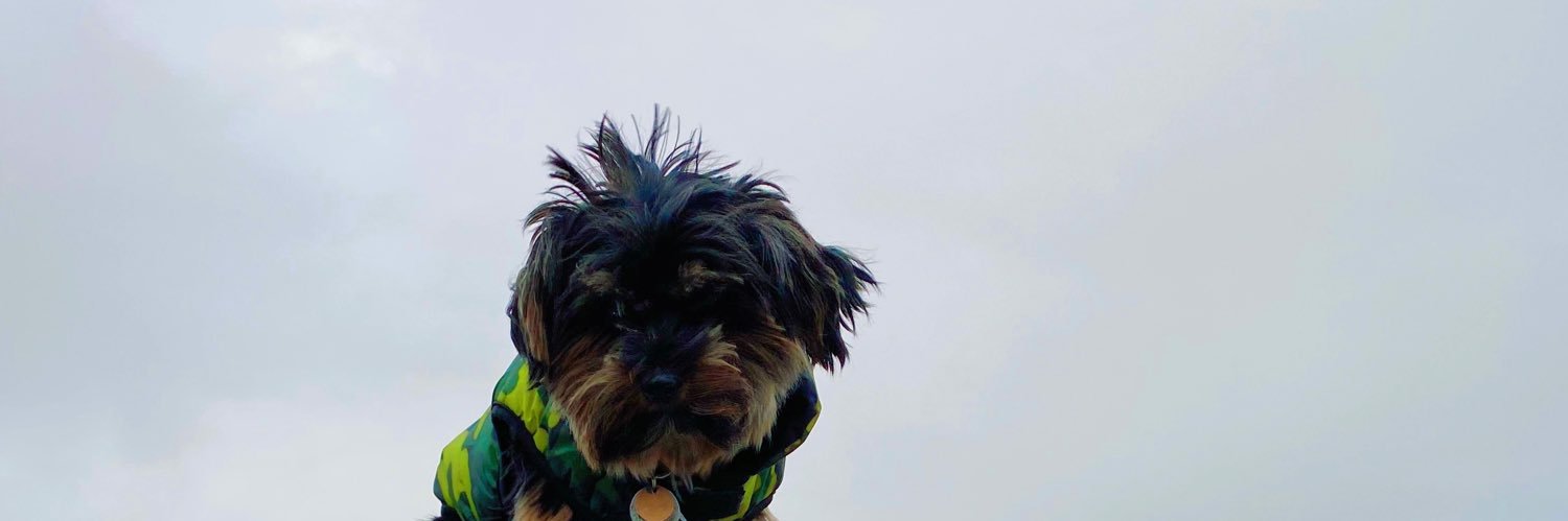 Mojo97_'s profile banner image