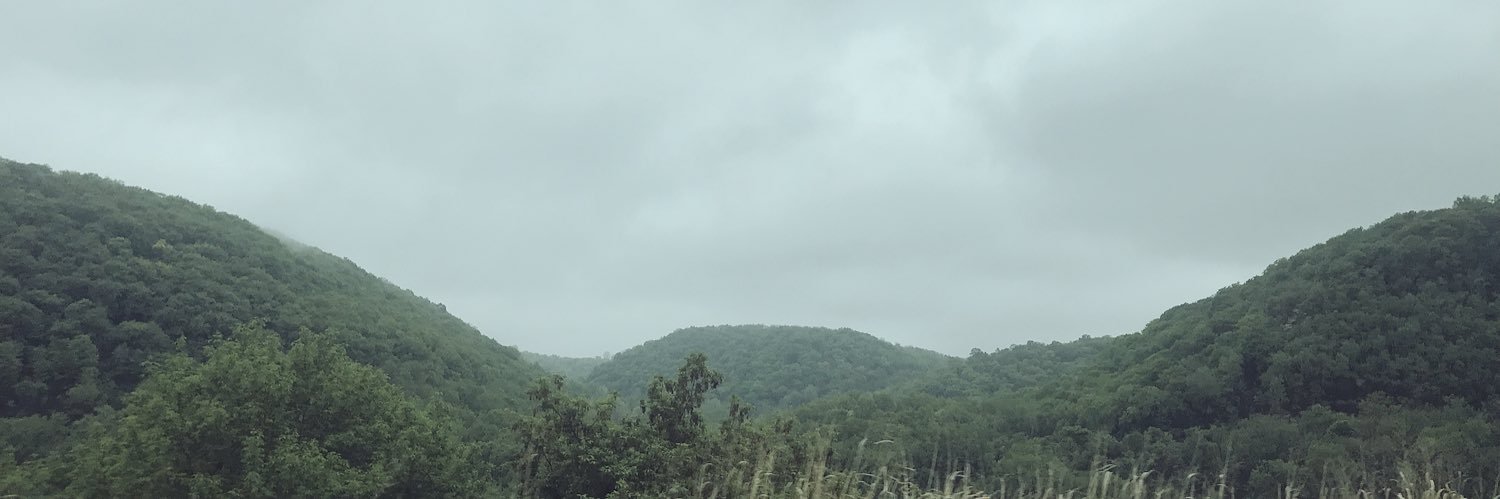 Cody banner