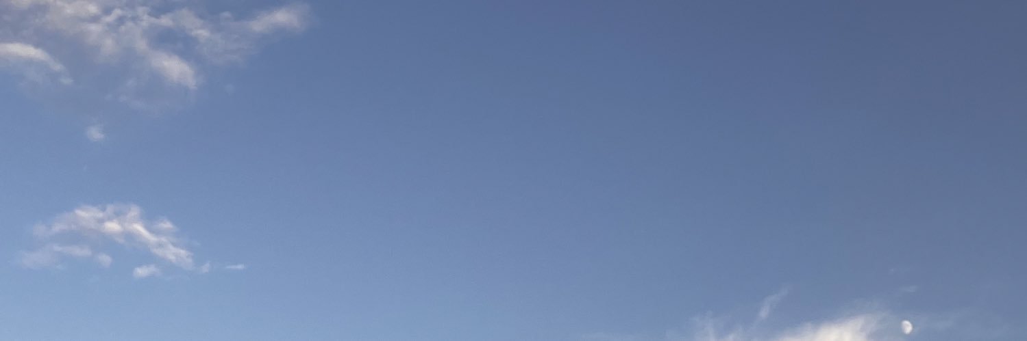 LackofNormalcy's profile banner image