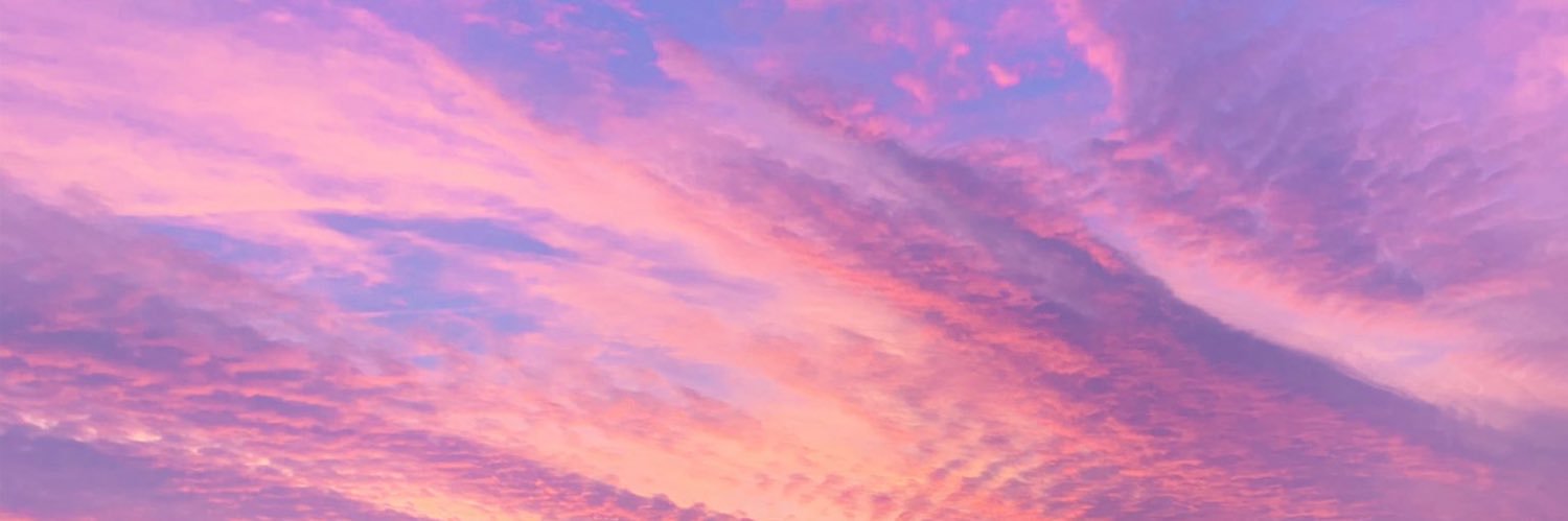 caneafonseca's profile banner image