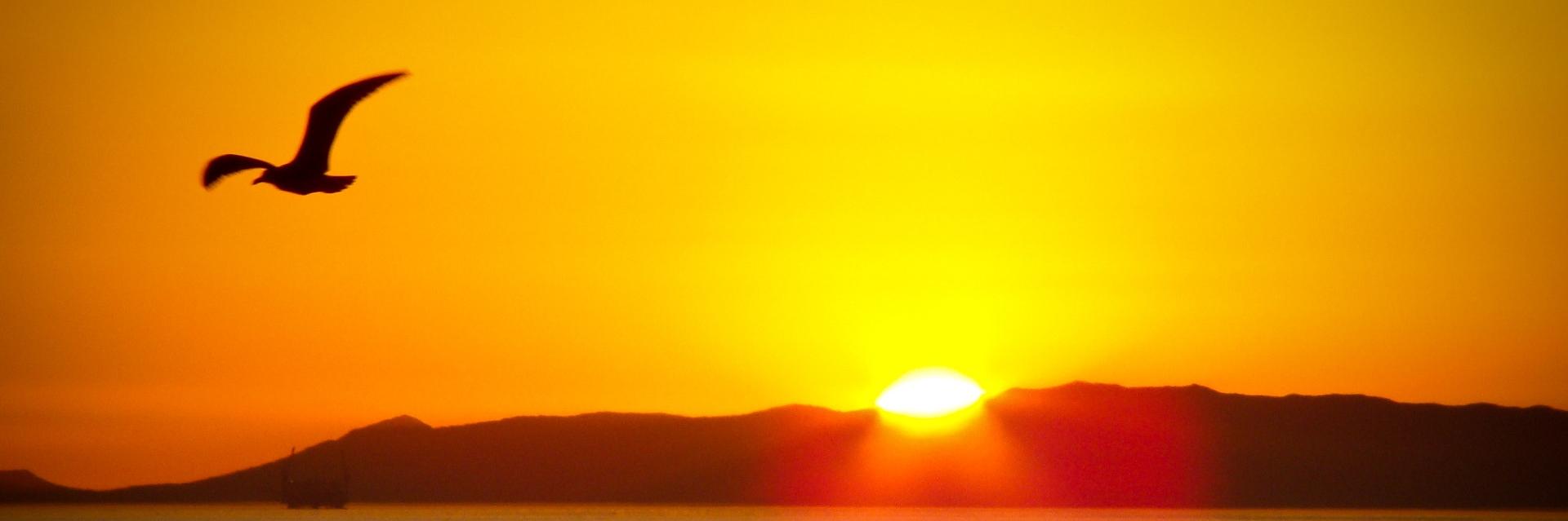 HBBA Community banner