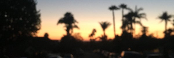 jade_tomashek Profile Banner