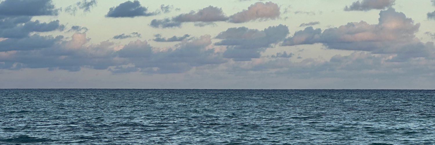 lfdlsv's profile banner image
