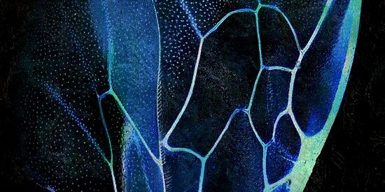 EileenGreenBean's profile banner image