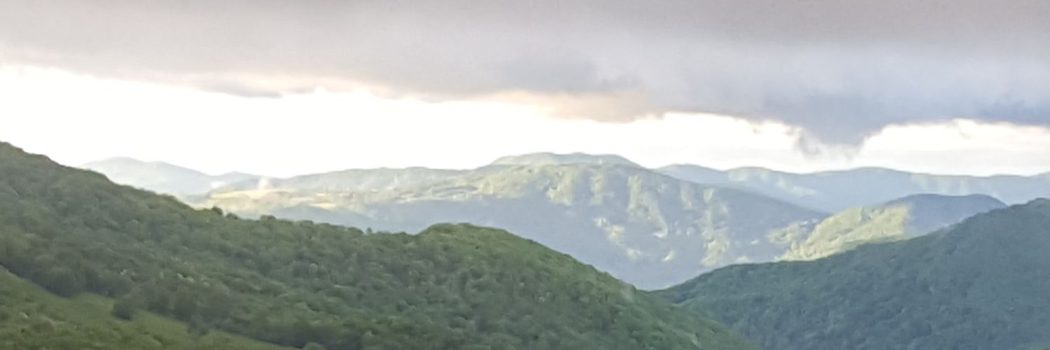 wf37660's profile banner image