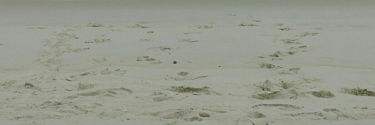 josediazgoe's profile banner image
