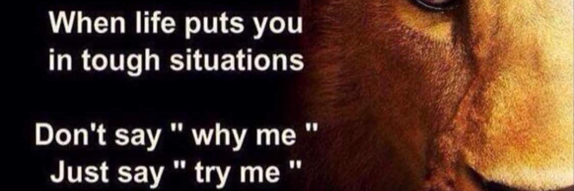 SparkyHamilton's profile banner image