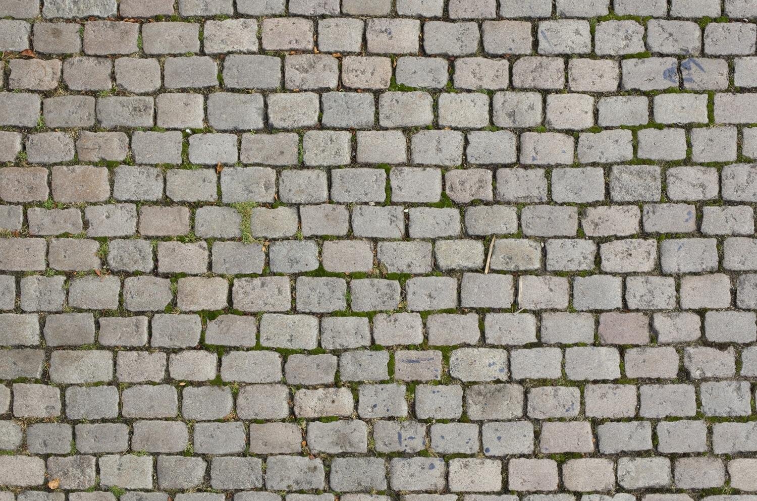 abbeykoph's profile banner image