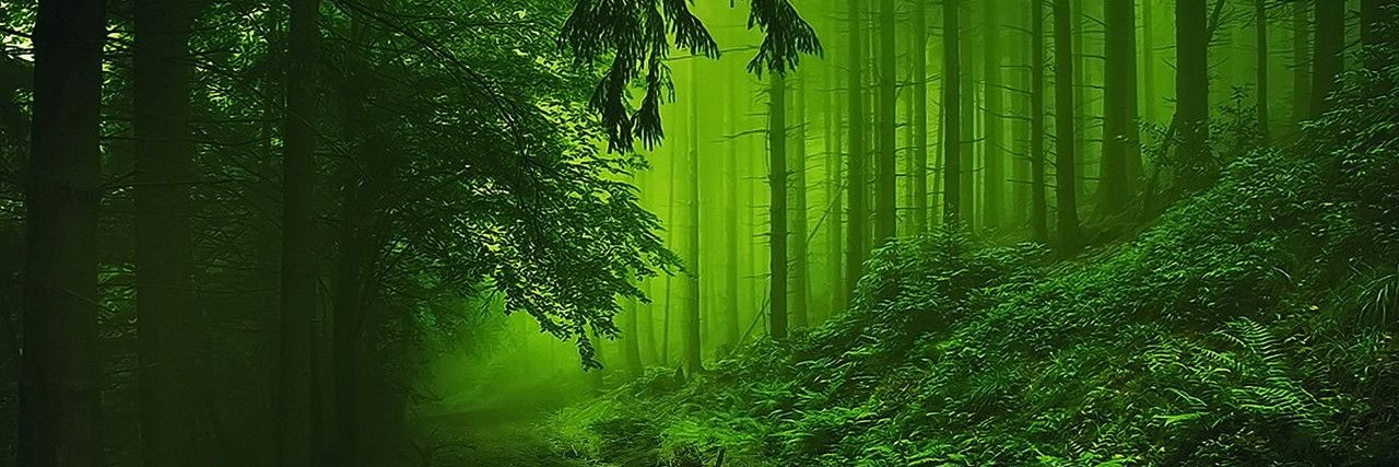 Marek R banner
