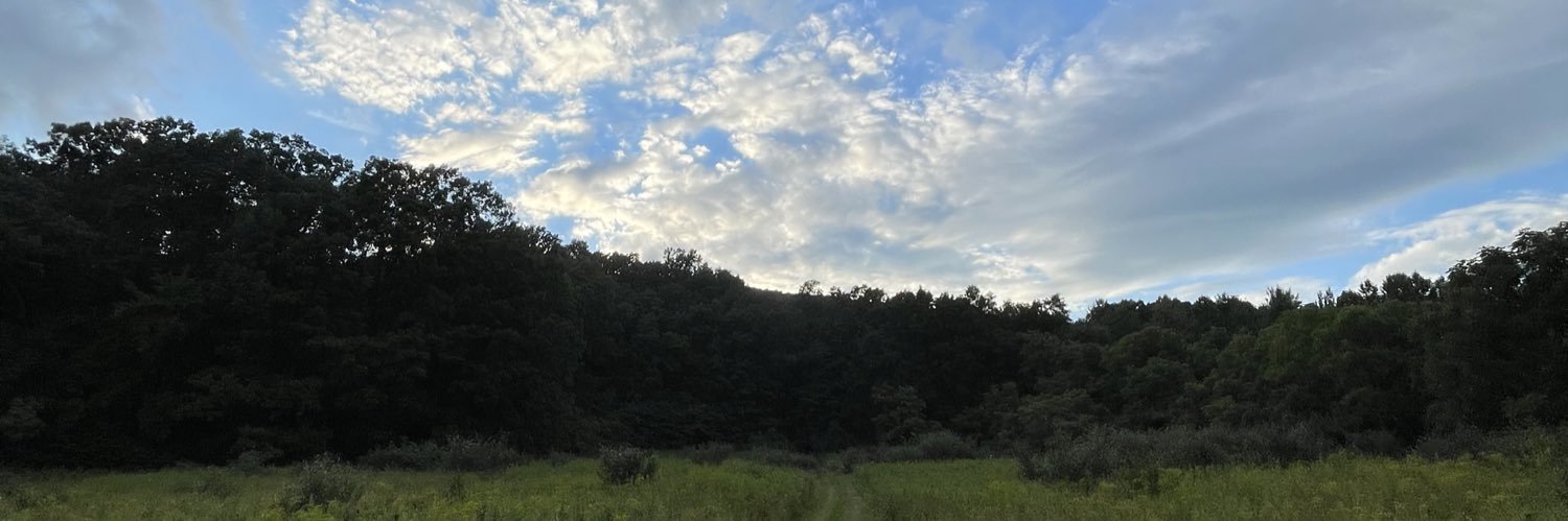 luke wentz banner