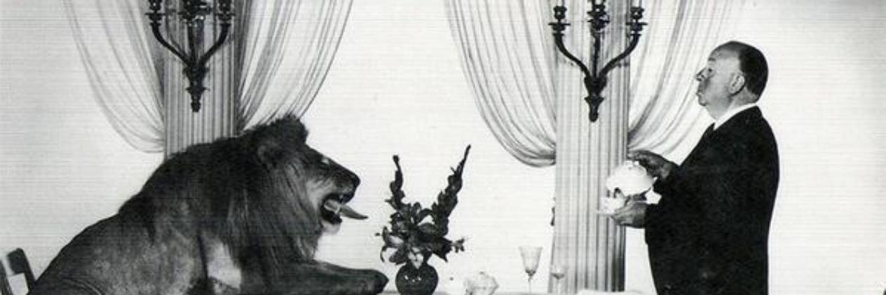 ThreeRooks's profile banner image