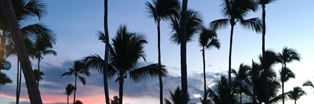 hanah1n's profile banner image