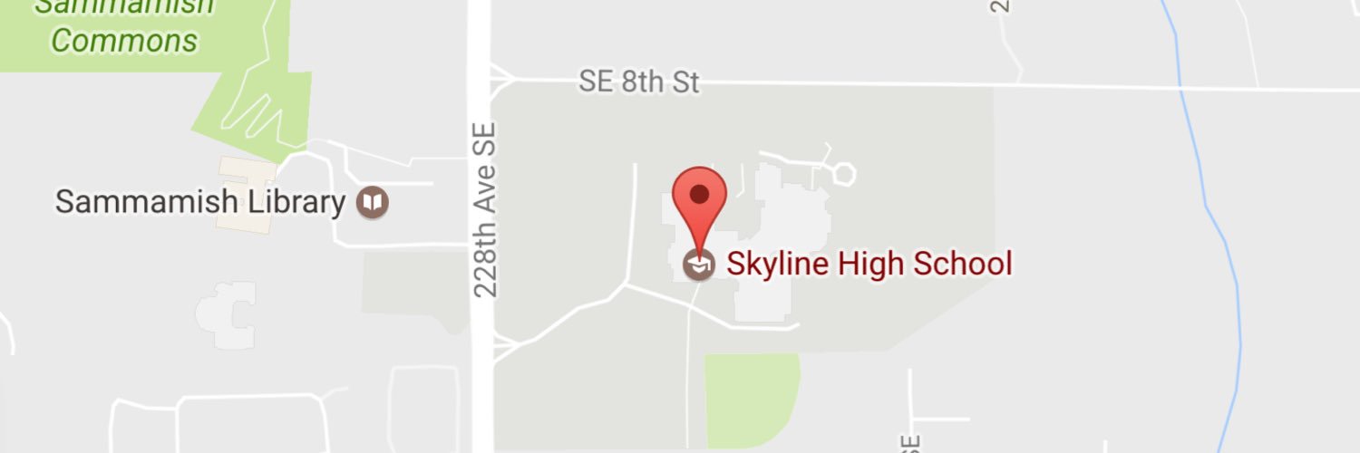 Skyline HS Baseball banner