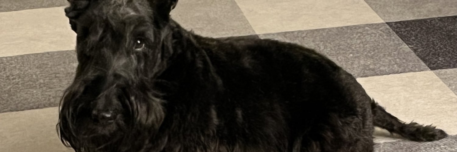 MurraytheScott's profile banner image