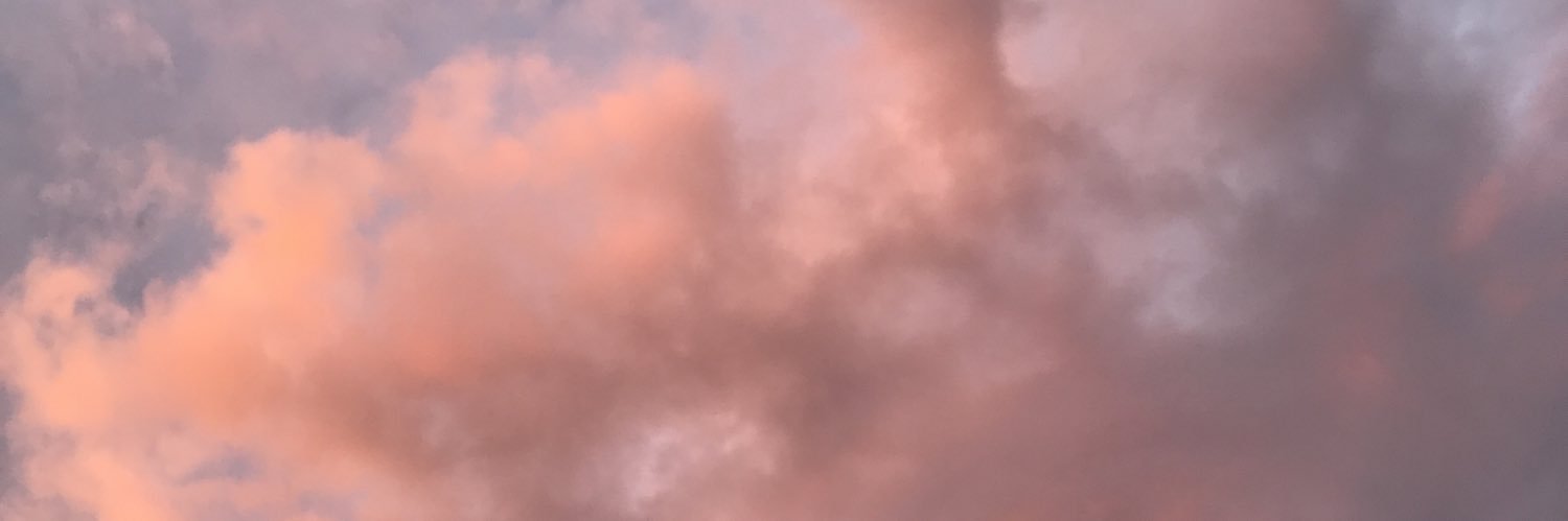 lilpthebasedpod's profile banner image
