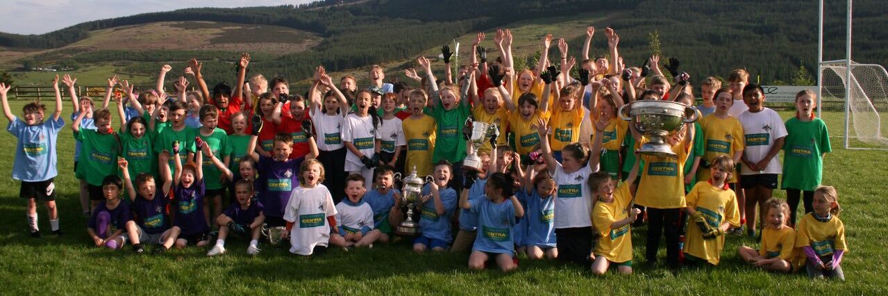 Stars of Erin GAA banner