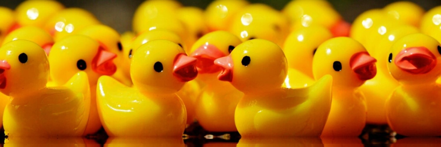 👩🏻‍🎤 PUNK DUCK NFT ⌐◨-◨ Ξ 0.05 $ETH 🚀 banner