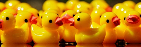 PunkDuckNFT Profile Banner