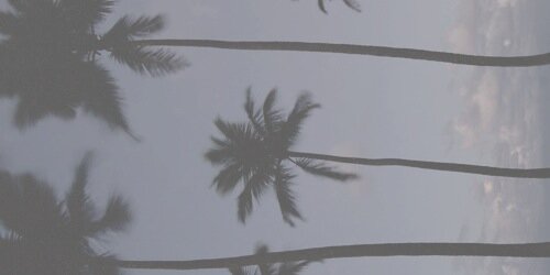 24 DAYS banner