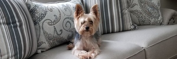 JamieRenee_30 Profile Banner