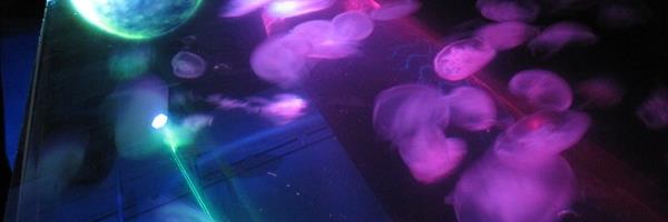 aska_maak's profile banner image