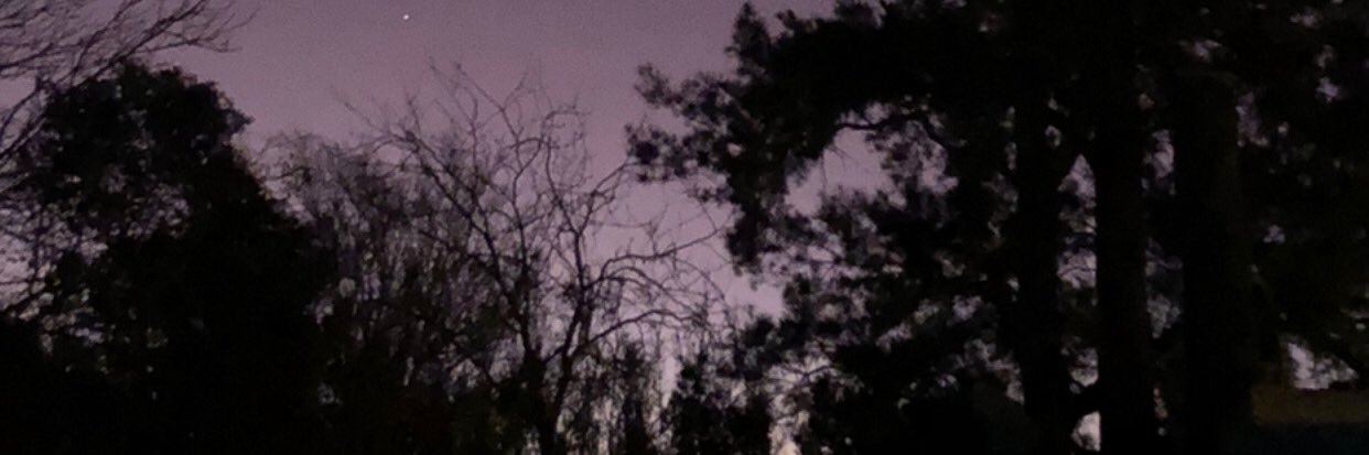 NDelsabio's profile banner image