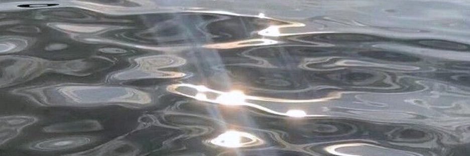 _elavv's profile banner image
