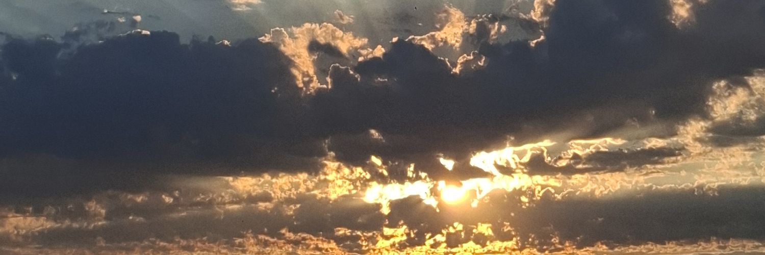 clean_honda's profile banner image