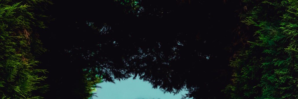 lasofia96's profile banner image